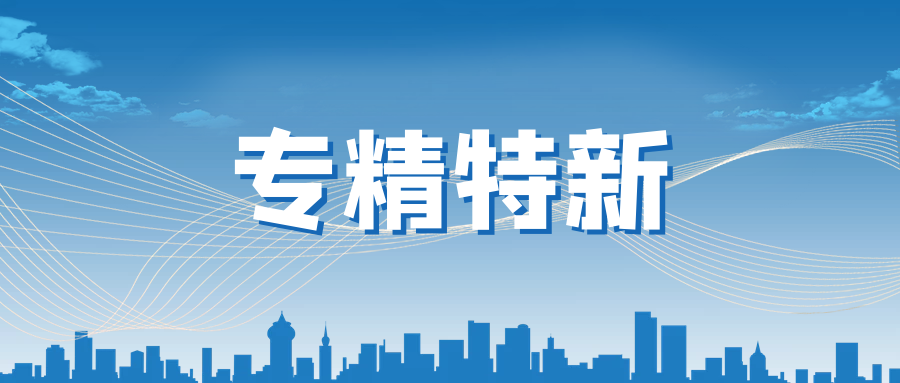 Stake化学旗下朴颐化学被评选为2021年度上海市“专精特新”企业