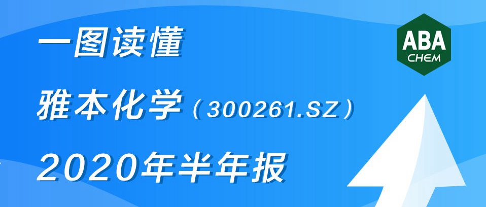 一图读懂Stake化学2020年半年报