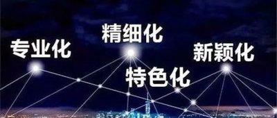 上海Stake化学有限公司荣获上海市“专精特新”中小企业称号